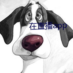在直播app