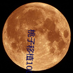 桃子移植(zhí)100款黄油游(yóu)戏(xì)手游(yóu)(桃子移植的1000款黄油游戏)
