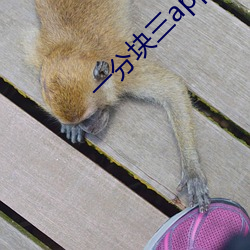 一分块三app
