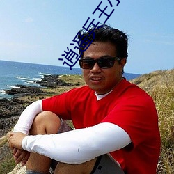 逍遥兵王小说