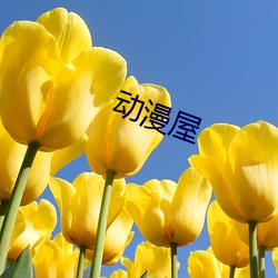 动漫屋 一棒一条痕