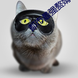 都市最强赘婿