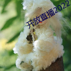 开放直(直)播(播)2022