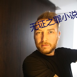 無證之罪小說