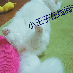 ca88手机客户端(安卓/苹果)CA88会员登录入口
