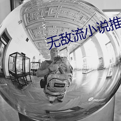 无敌流小说推荐 （巴士）