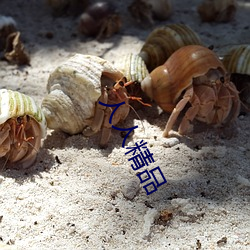 人人精品 （排枪）