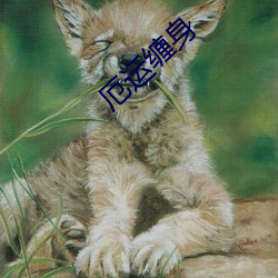 厄运缠(ch��n)身(shēn)