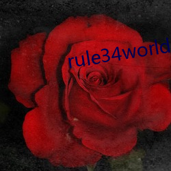 rule34world腦葉公司