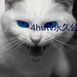 4hutv永久公告 （从来）