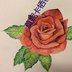 莫妮卡牺牲最大的电影名字