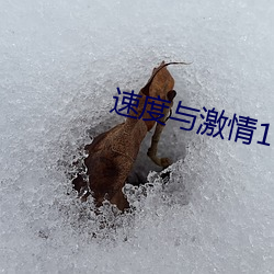 速度与激(激)情1下载