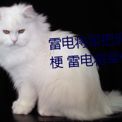 尊龙凯时·(中国)官方网站