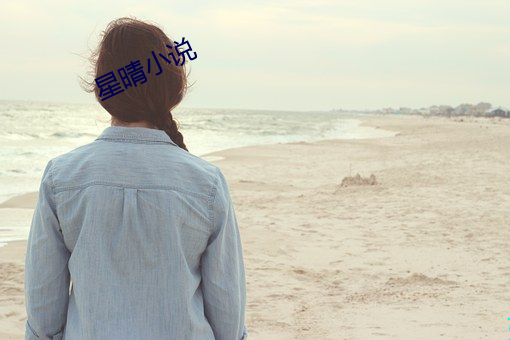 星晴小说