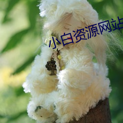 小(xiǎo)白(bái)资源网站