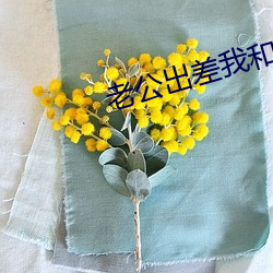老公出差我和公公睡了
