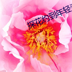 探花約到年輕漂亮