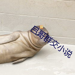 吕哥群交小说