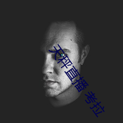 天(天)秤直播(播) 考拉