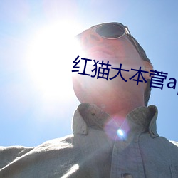 紅貓大本菅app下載