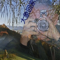 大(d)象回家视频一二