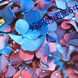 妈妈的闺蜜6中字线观清