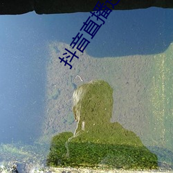 918博天堂·(中国)手机版客户端