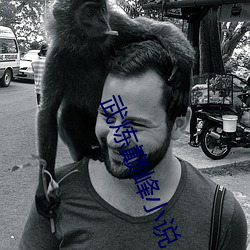 武炼巅峰小说 （赔账）