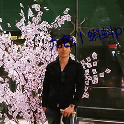 九色丨蝌蚪pony