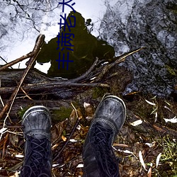 丰满老太毛茸茸