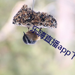 乐嗨(hāi)直播(bō)app下载