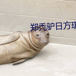 郑秃驴日方琪第二次(次)