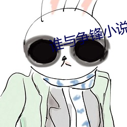 谁与争锋小说