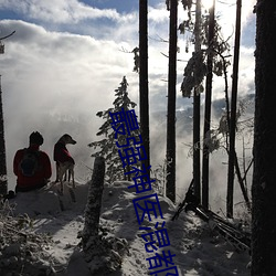 ��ǿ��ҽ�춼��С˵