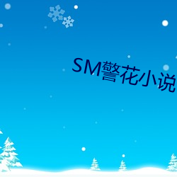 SM警(jǐng)花小说