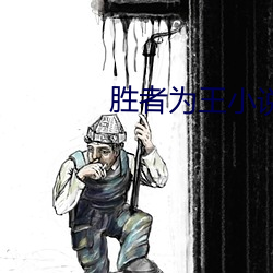 胜者为王小说(說)