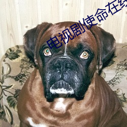 尊龙凯时人生就是搏(中国区)官方网站