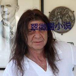 翠微居(jū)小说