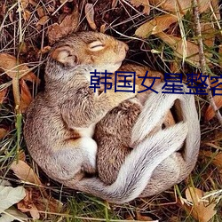 韩国女星整容前后 （圣神文武）