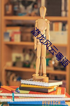 潜龙风云粤语