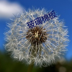 玻璃棉板