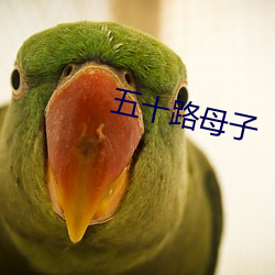 五十路(lù)母子