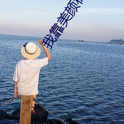 我靠美颜稳住天下 （气血方刚）