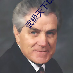 武极天下txt