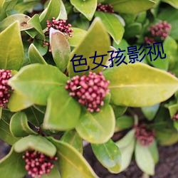 色(sè)女(nǚ)孩影视(shì)