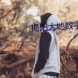 揭(揭)阳(陽)大(大)地数(數)字(字)影院