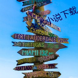 全本小说下载
