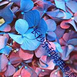 长(zhǎng)沙(shā)乐(lè)和城电(diàn)影院