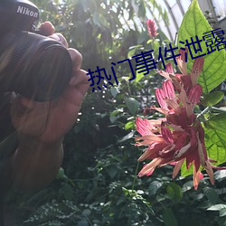 热门(門)事(事)件泄露
