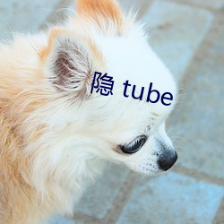 隐 tube